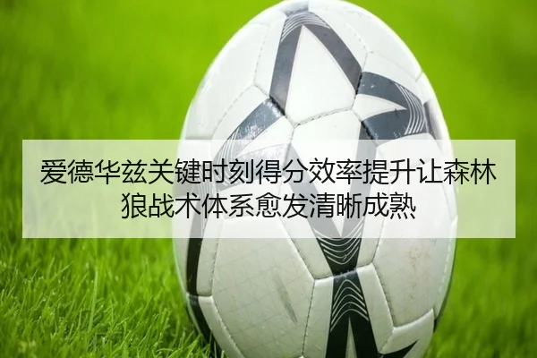 爱德华兹关键时刻得分效率提升让森林狼战术体系愈发清晰成熟